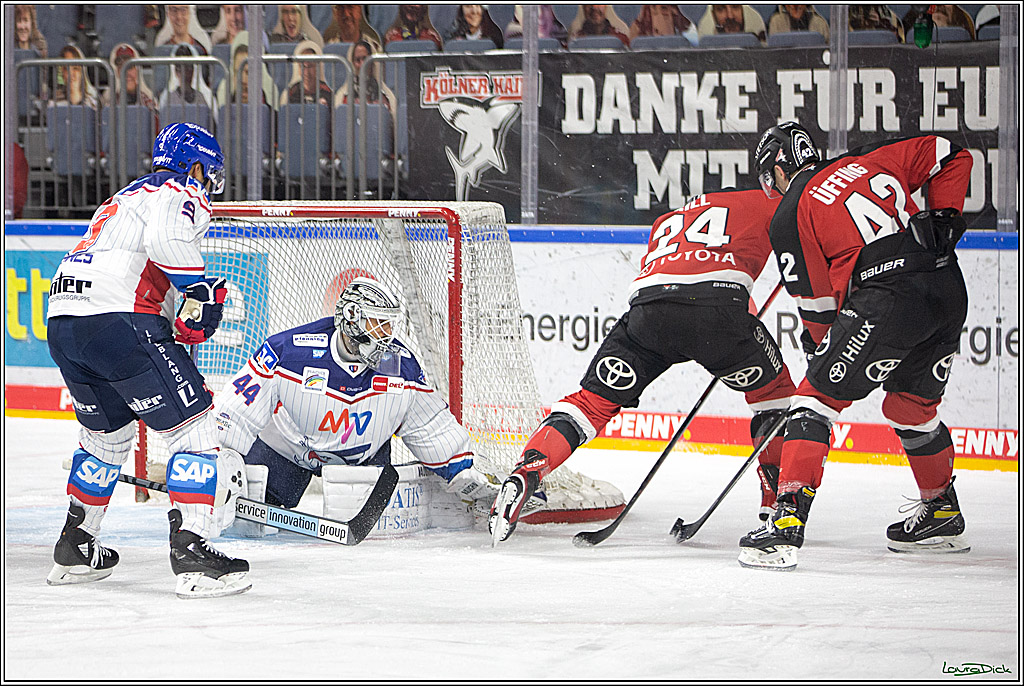 PENNY DEL; Koelner Haie- Adler Mannheim; Koeln, 02.01.2022